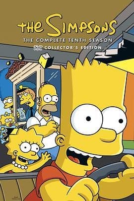 辛普森一家第十季海报