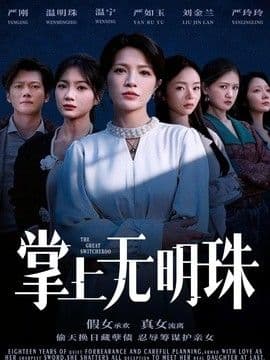 掌上无明珠海报