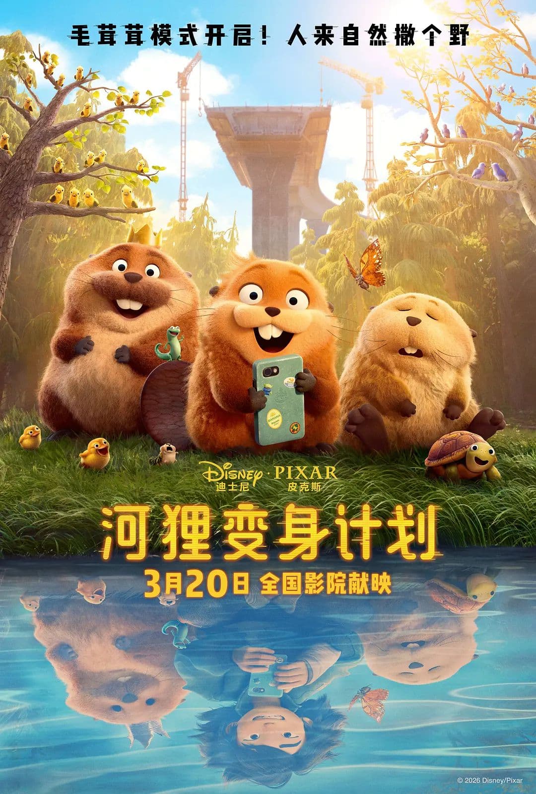 河狸变身计划（普通话版）海报