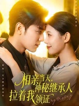 相亲当天，神秘继承人拉着我领证海报