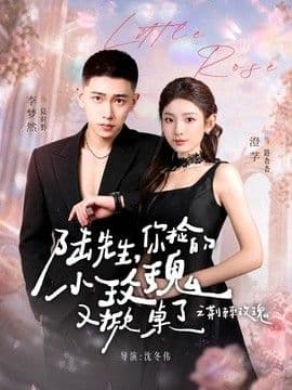 陆先生，你捡的小玫瑰又掀桌了之荆棘玫瑰（太子爷的小玫瑰又掀桌了）海报