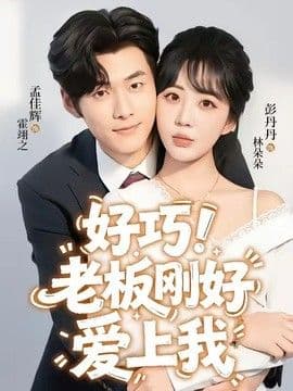 老板刚好爱上我海报