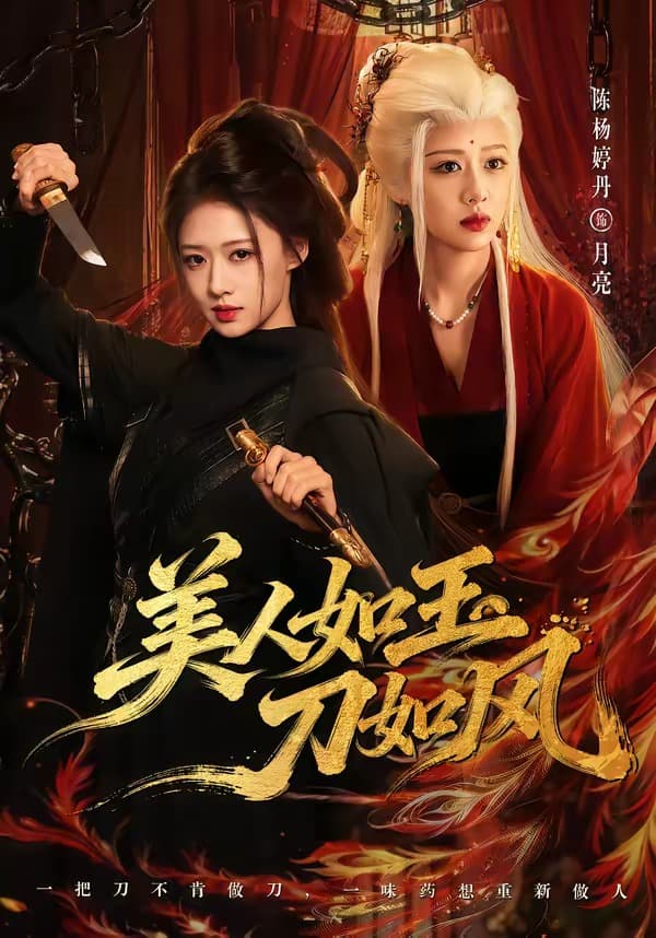 美人如玉刀如风海报