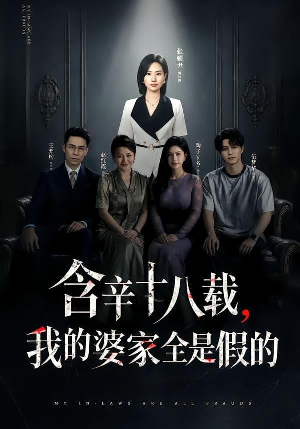 含辛十八载，我的婆家全是假的海报
