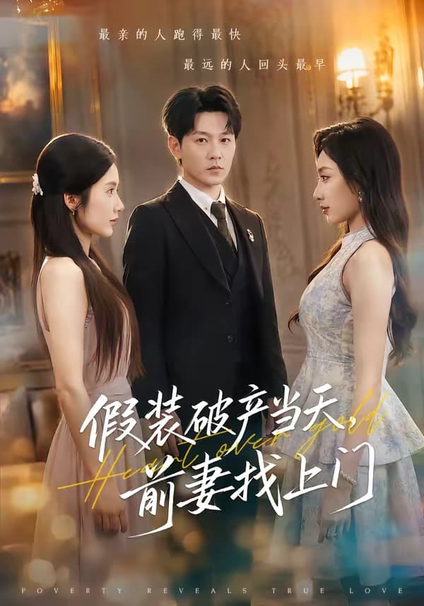 假装破产当天，前妻找上门海报