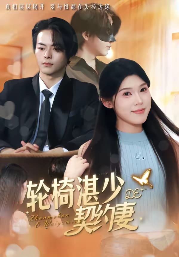 轮椅湛少的契约妻海报