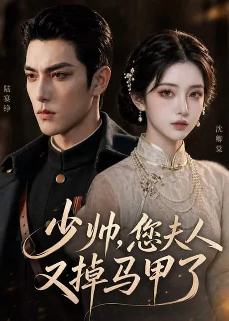 少帅，您夫人又掉马甲了海报