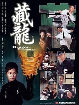 藏龙海报