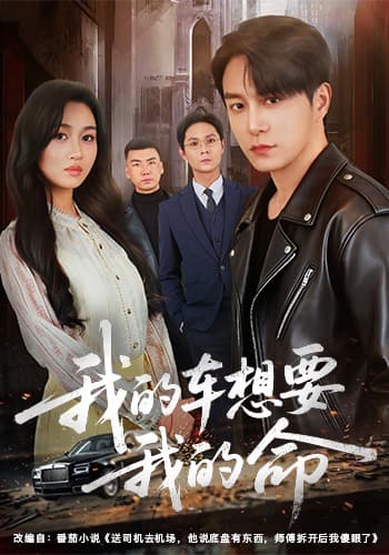 我的车想要我的命海报