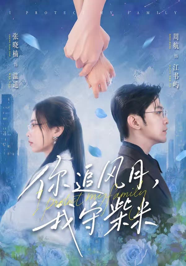 你追风月，我守柴米海报