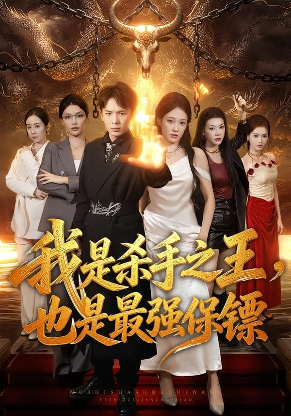我是杀手之王，也是最强保镖海报