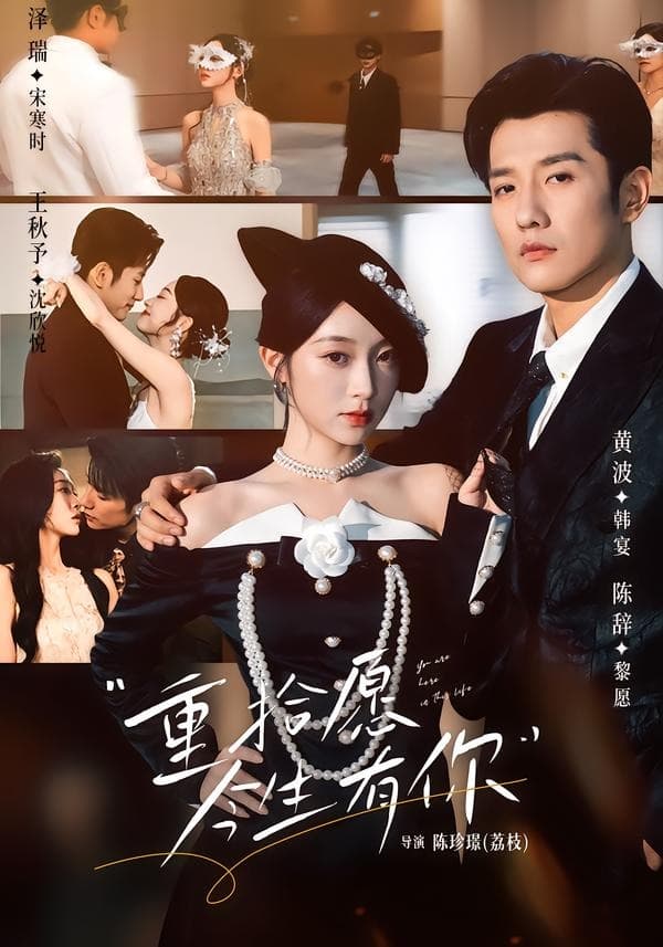 重拾愿今生有你海报