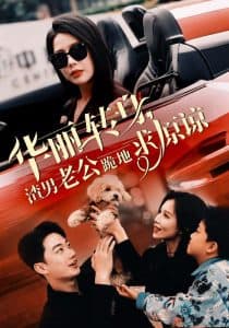 华丽转身渣男老公跪地求原谅海报