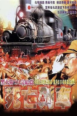 黑太阳731之死亡列车国语海报