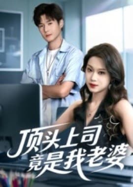 顶头上司竟是我老婆海报