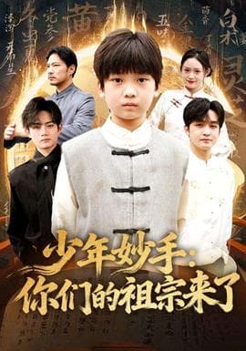 少年妙手你们的祖宗来了海报