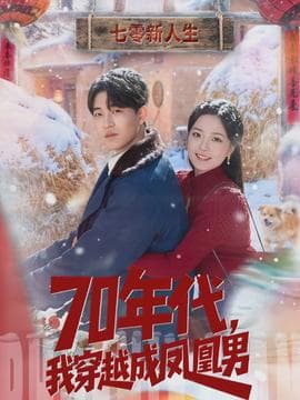 年代，我穿越成凤凰男海报