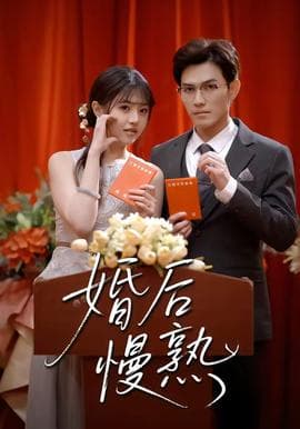 婚后慢熟海报