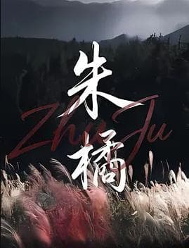 朱橘海报
