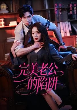 完美老公的陷阱海报