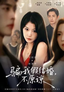 骗我假结婚，不原谅海报