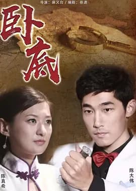 卧底2010海报