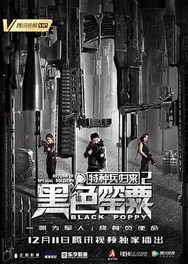 特种兵归来2:黑色罂粟海报