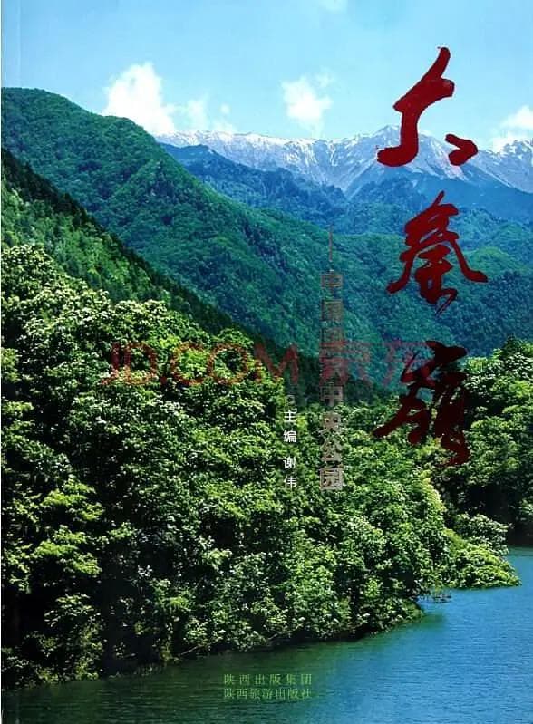 大秦岭海报