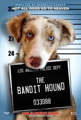 猎犬强盗(国语版)海报