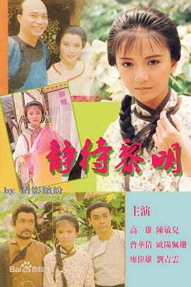 静待黎明国语海报