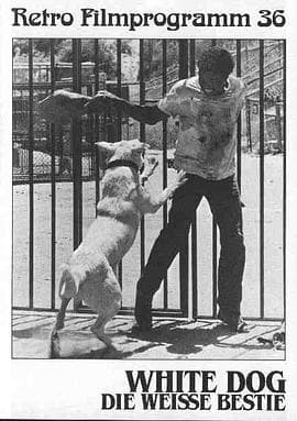 白狗 White Dog海报