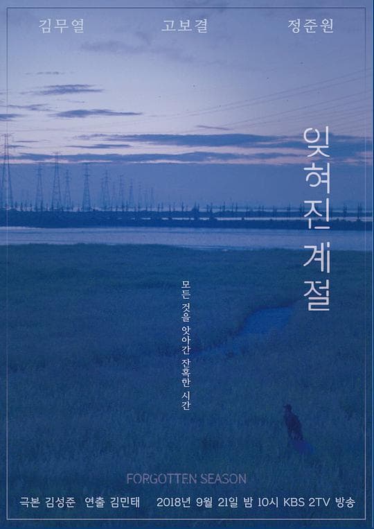 被遗忘的季节海报