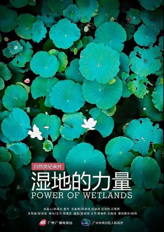 湿地的力量海报