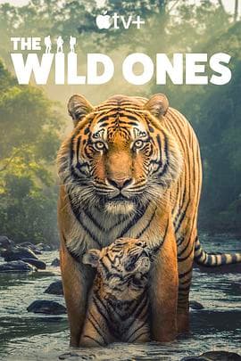 野性生灵海报
